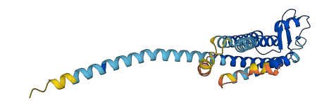 GJB6 3D structure