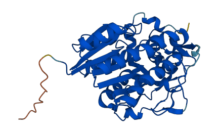 TGDS 3D structure