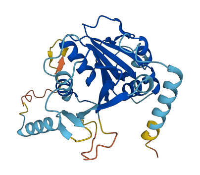 PSMG1 3D structure