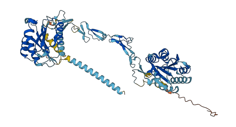 MATN4 3D structure