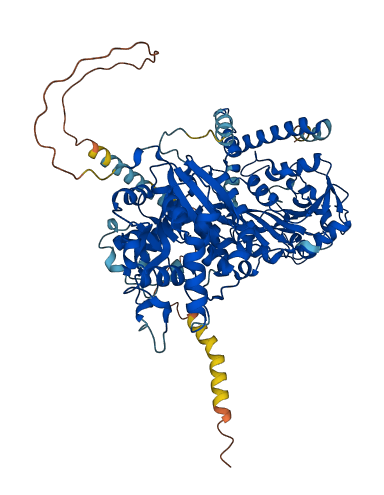 LARGE1 3D structure