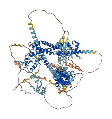 FMNL1 3D structure