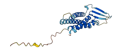 CLDN7 3D structure