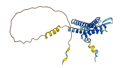 SYNGR4 3D structure