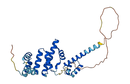 SIX6 3D structure
