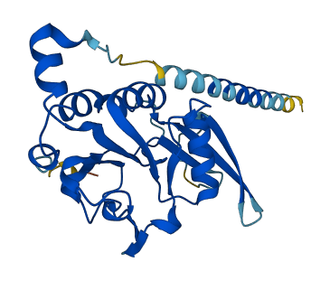 CTDNEP1 3D structure