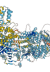 ABCA1 3D structure