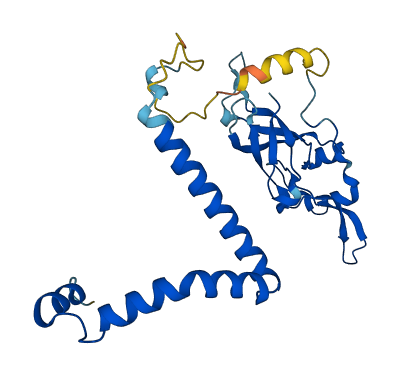 NSA2 3D structure