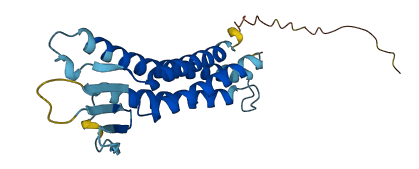 CLDN9 3D structure