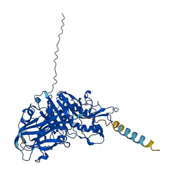 VNN2 3D structure