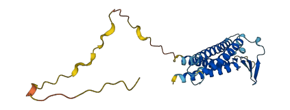 CLDN14 3D structure