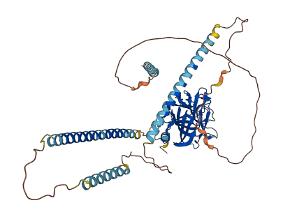 NPTXR 3D structure