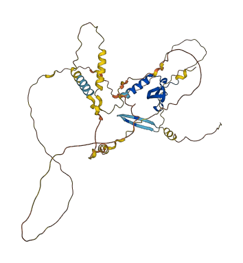 CBX6 3D structure