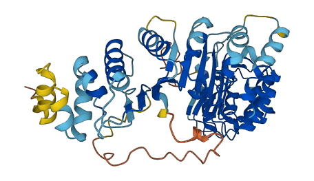 PRAMEF1 3D structure