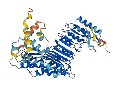 PRAMEF12 3D structure