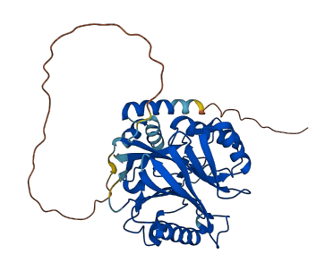 TDP2 3D structure