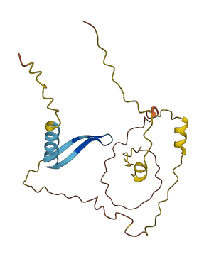 C1orf105 3D structure