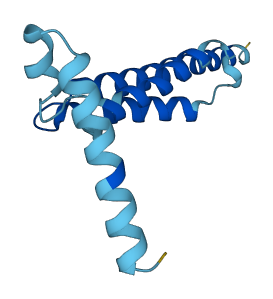 MPC2 3D structure