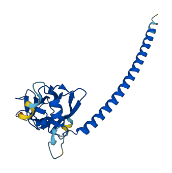 YEATS4 3D structure