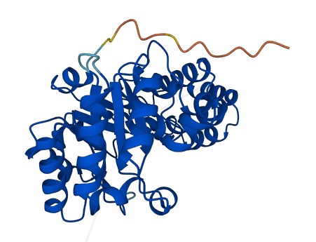 DUS4L 3D structure