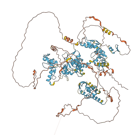 ZBTB11 3D structure