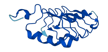 ANP32D 3D structure