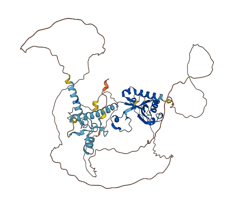 CNOT4 3D structure