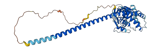 STAMBP 3D structure