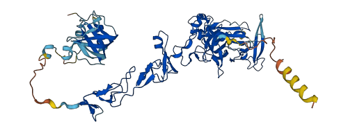 NTN1 3D structure