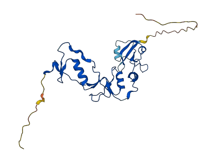 FSTL3 3D structure