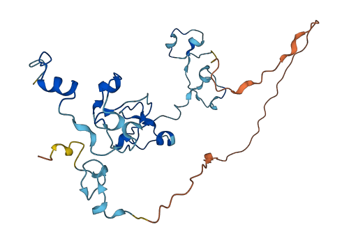 CPSF4 3D structure