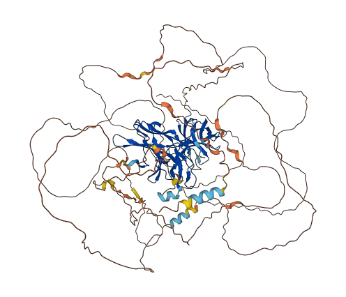 NFATC1 3D structure