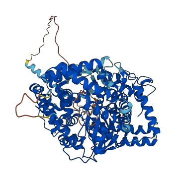 ECEL1 3D structure