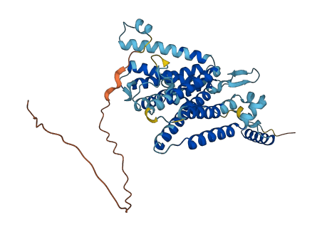 CDS2 3D structure