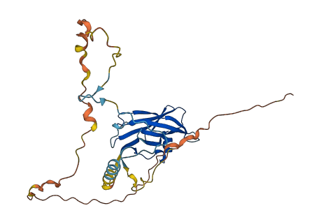 PPP1R3D 3D structure
