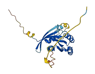 RAB3D 3D structure
