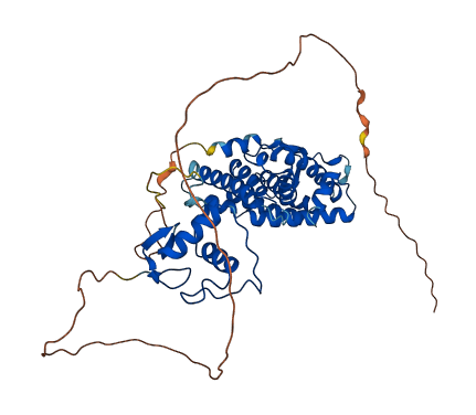 ESRRB 3D structure
