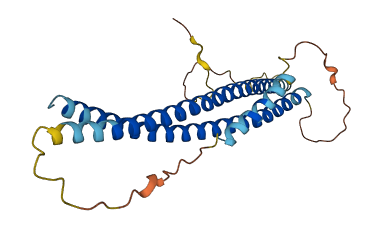 SNAP29 3D structure