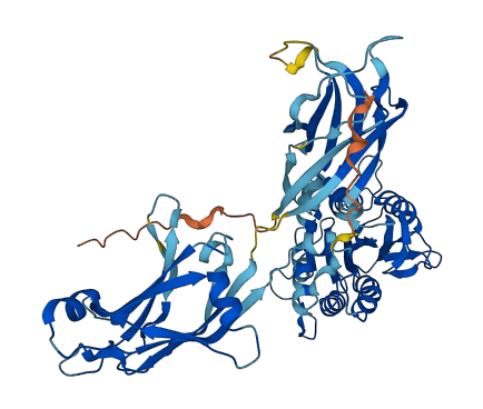 CPNE6 3D structure