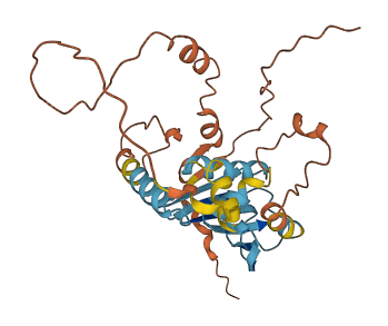 PMS2P2 3D structure