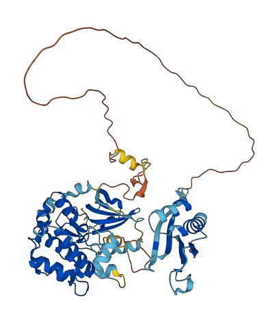 OXSR1 3D structure