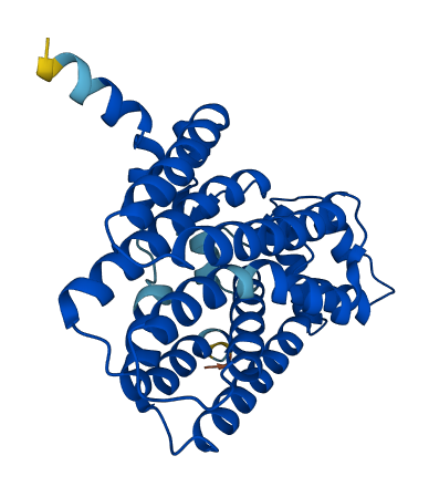 GGPS1 3D structure