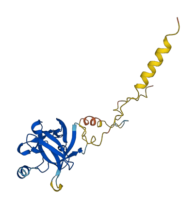 FGF19 3D structure