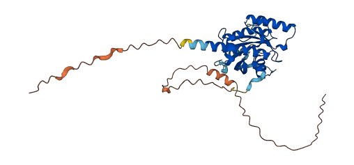 RAB36 3D structure