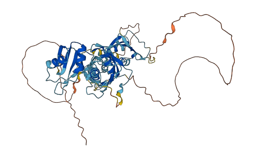 PTBP3 3D structure