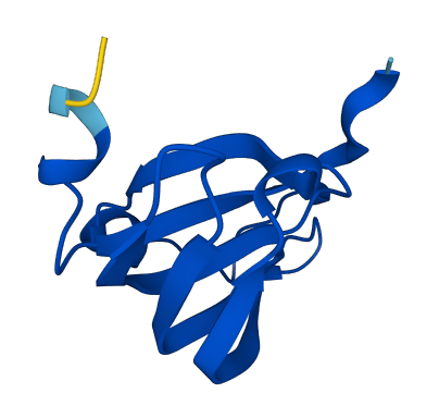 LSM8 3D structure