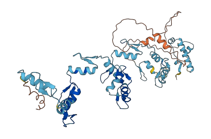 ZNF682 3D structure