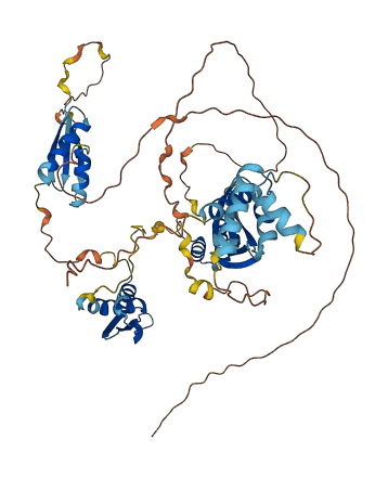 STAU1 3D structure
