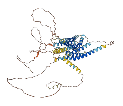 GPR75 3D structure