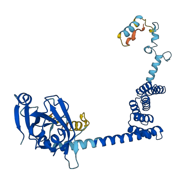 TTC4 3D structure